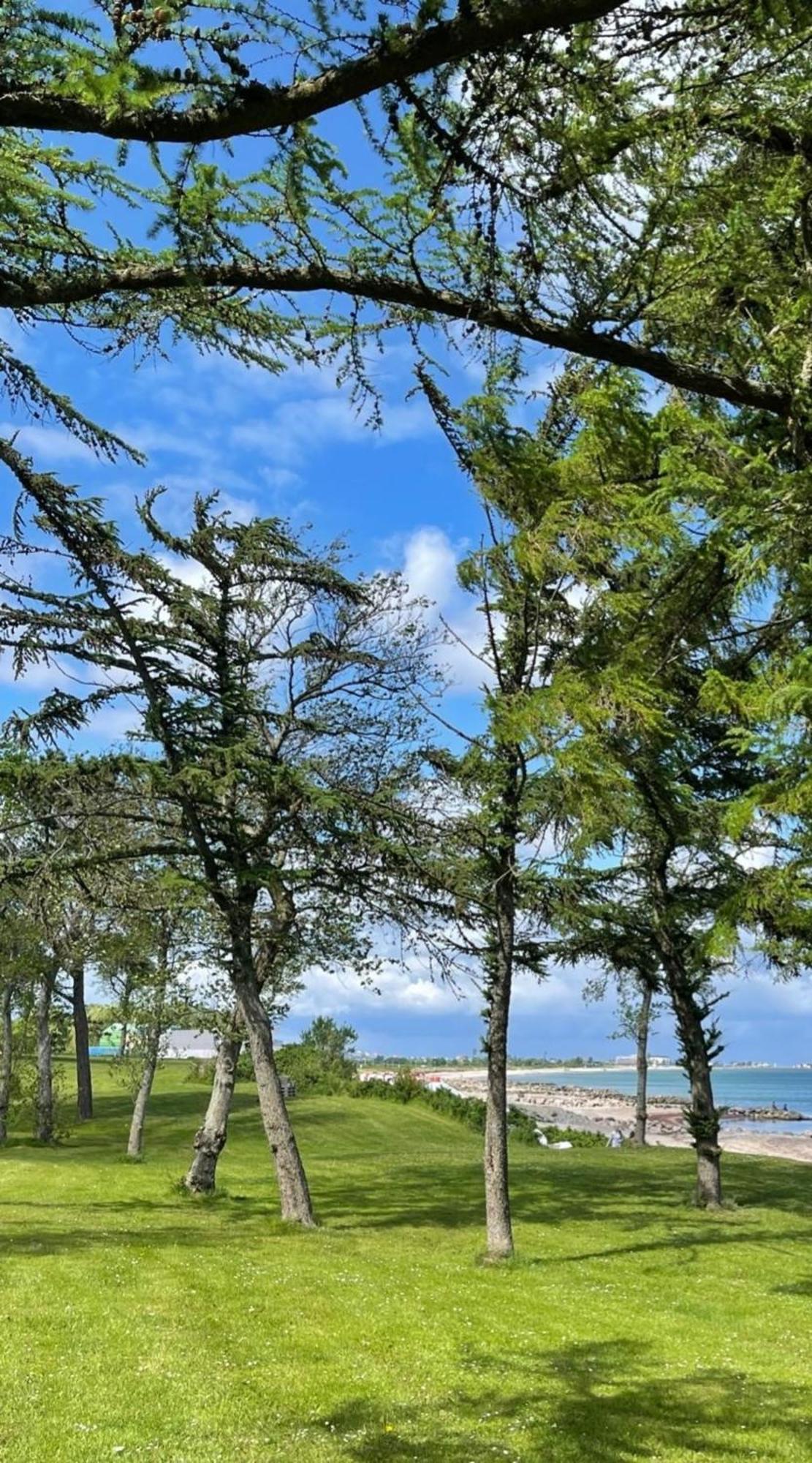 Ferien Am Strand, Urlaub An Der Ostsee Ferienwohnung Am Strand In Der Naehe Der Schlei, Umgebung Von Kappeln U Damp Brodersby-Goltoft ภายนอก รูปภาพ
